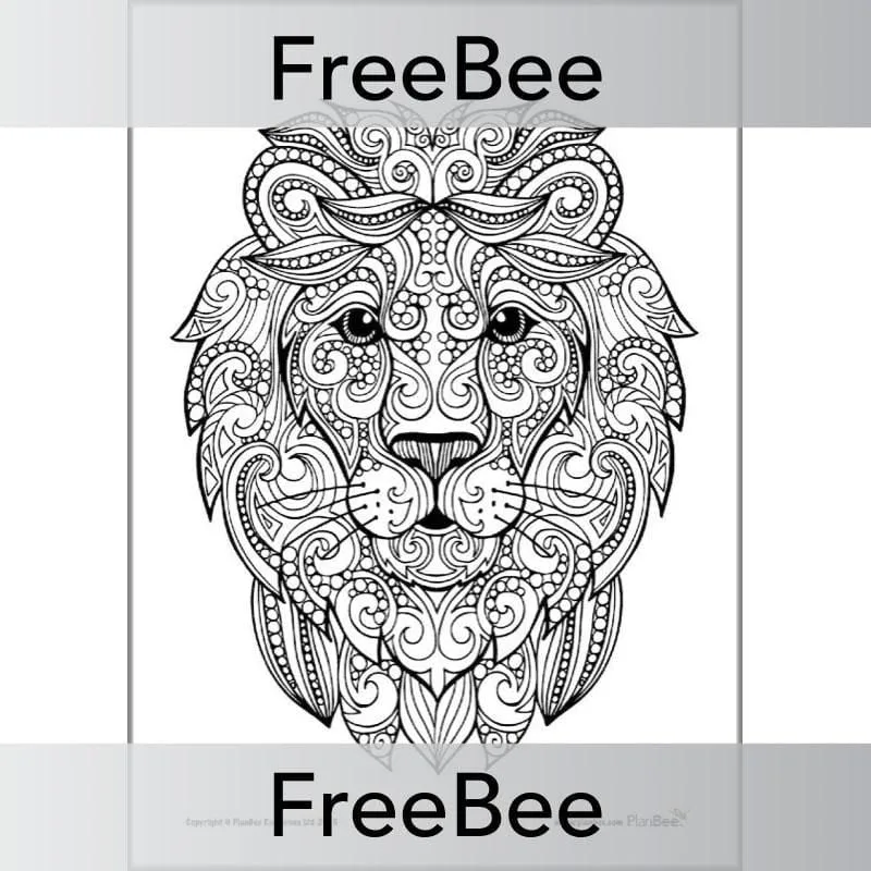 Mindfulness Colouring Sheets: Animals