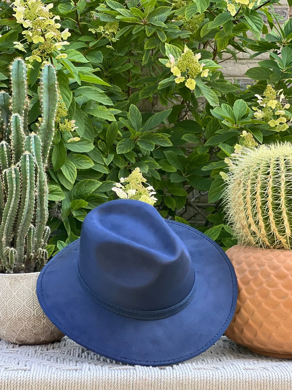 Sombrero Explorer